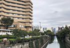 『街で発見！』東京で一番広いまちには、東京の水が貯まっていた。[西多摩郡奥多摩町]