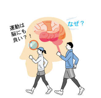exercise and brain_image