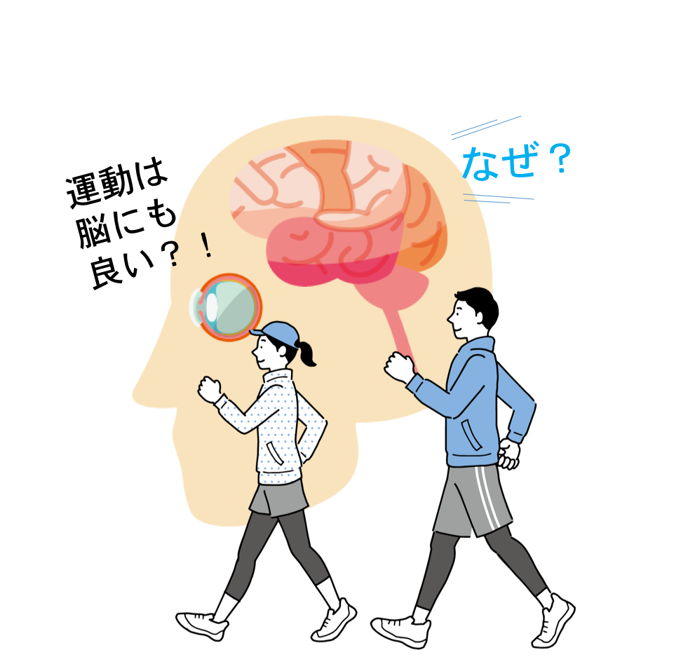 【運動は脳に効果あり】フリーランスや経営者ほど運動が必要な5つの理由
