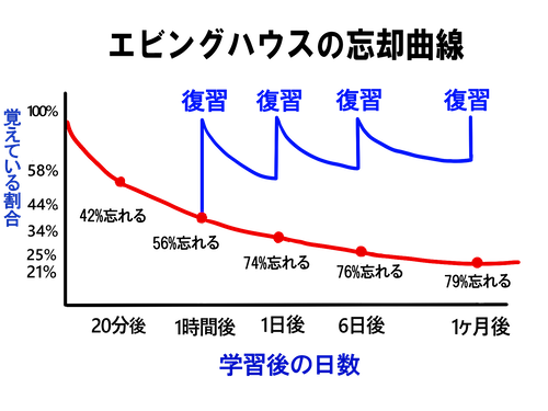 エビングハウスの忘却曲線を表したグラフ